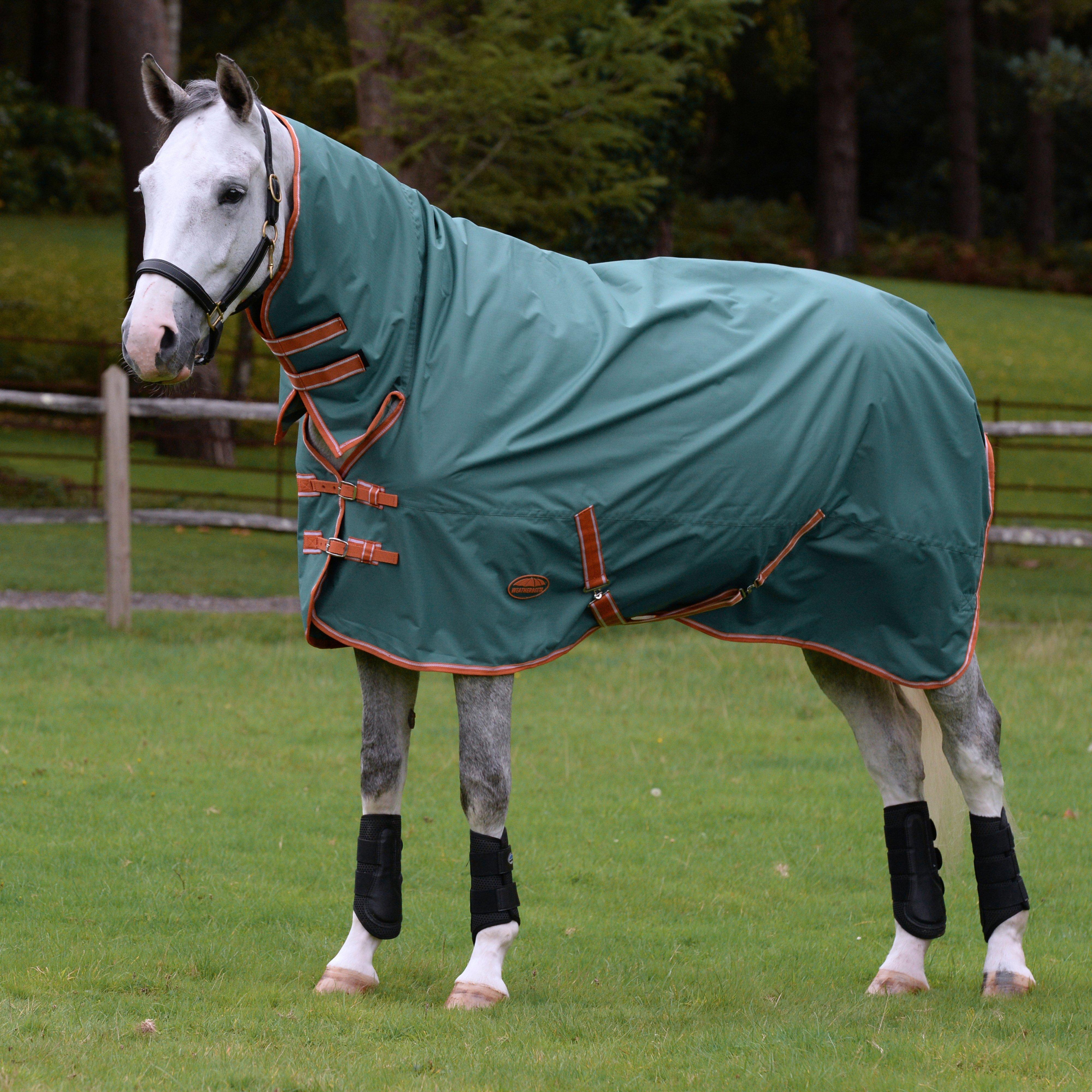 Image of WeatherBeeta ComFiTec Tyro Combo Neck Lite Plus Rug, Green