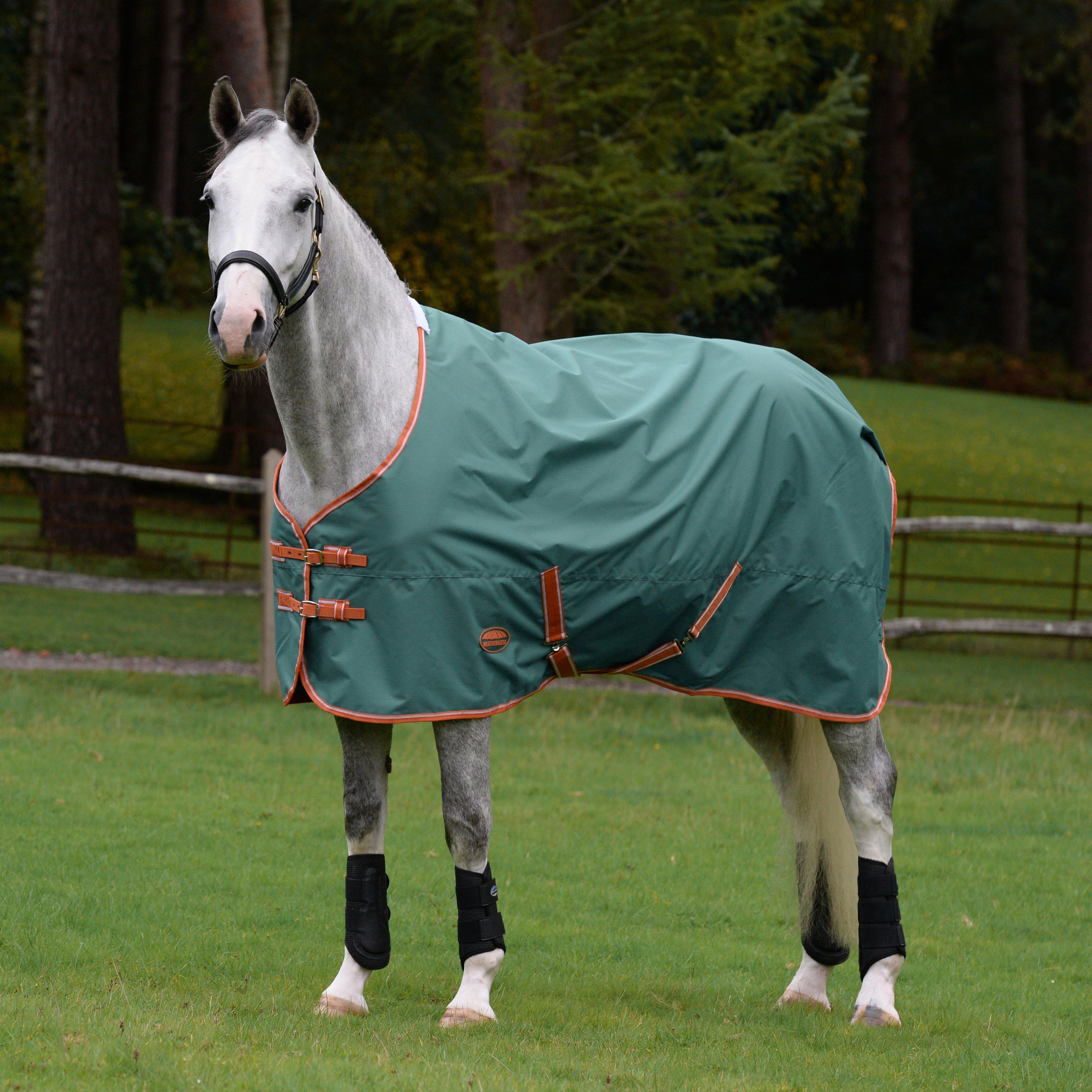 Image of WeatherBeeta ComFiTec Tyro Standard Neck Lite Plus Rug, Green