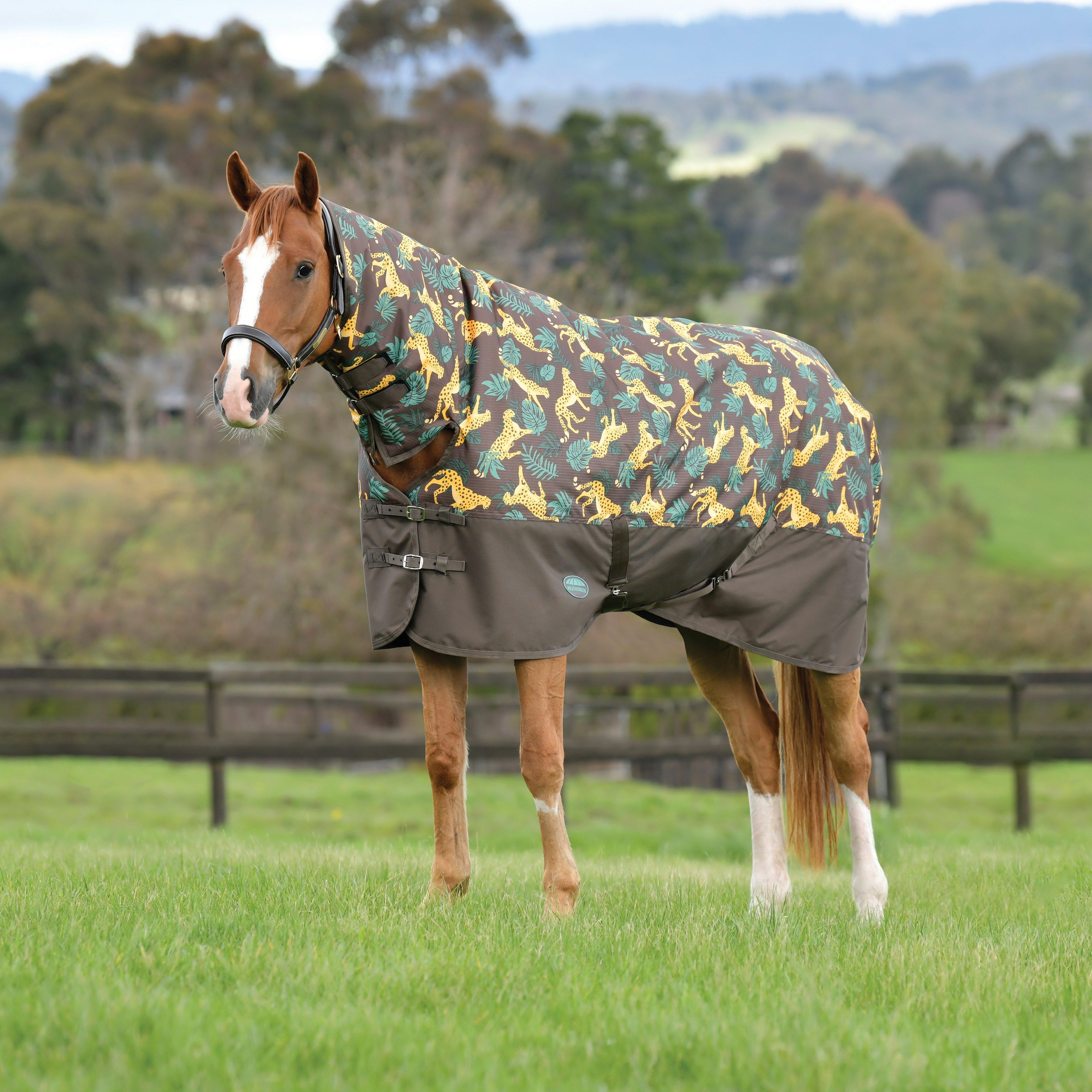 Image of WeatherBeeta ComFiTec Tyro Combo Neck Medium Rug, Multi Coloured