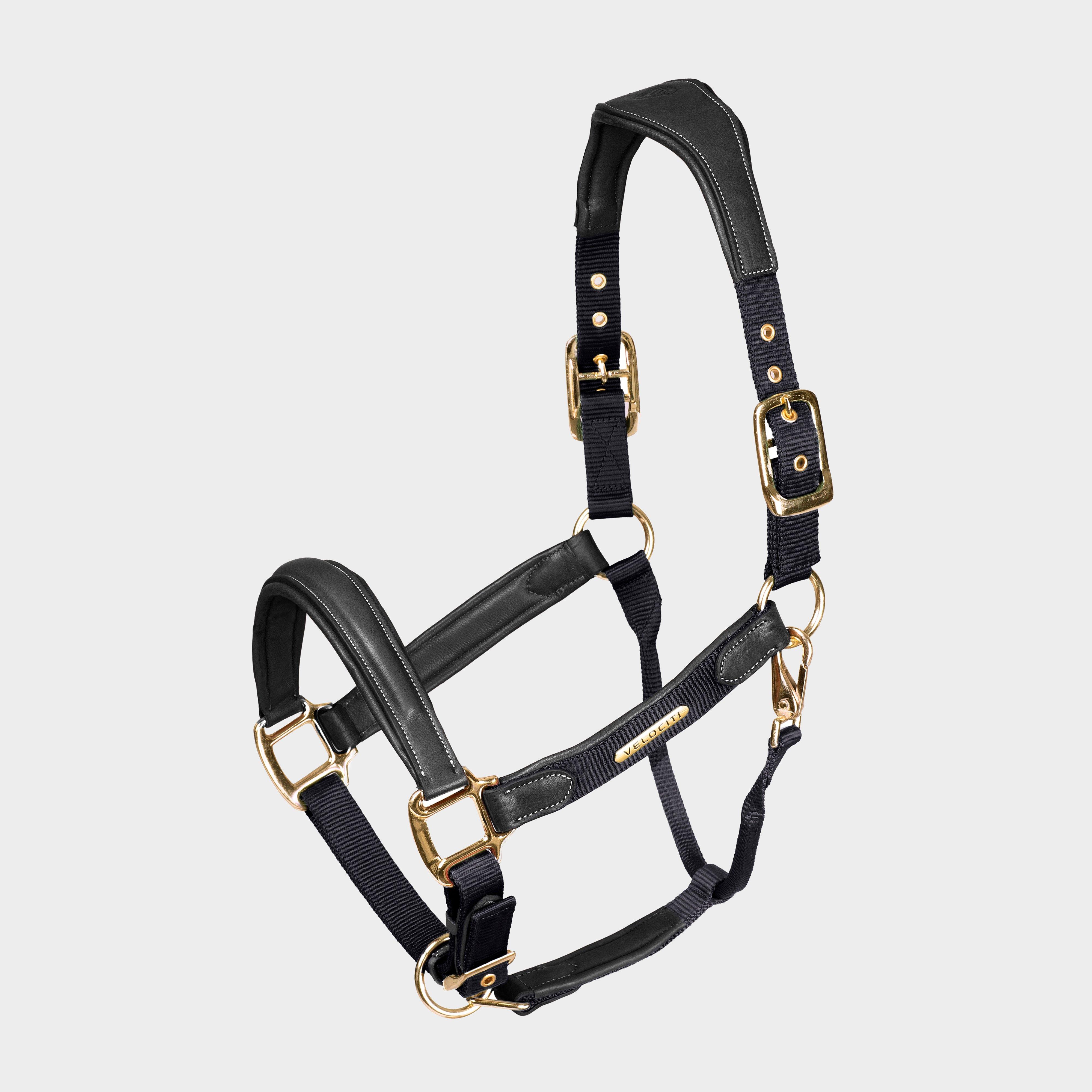 Image of Velociti Velociti Lusso Padded Leather Headcollar, Black