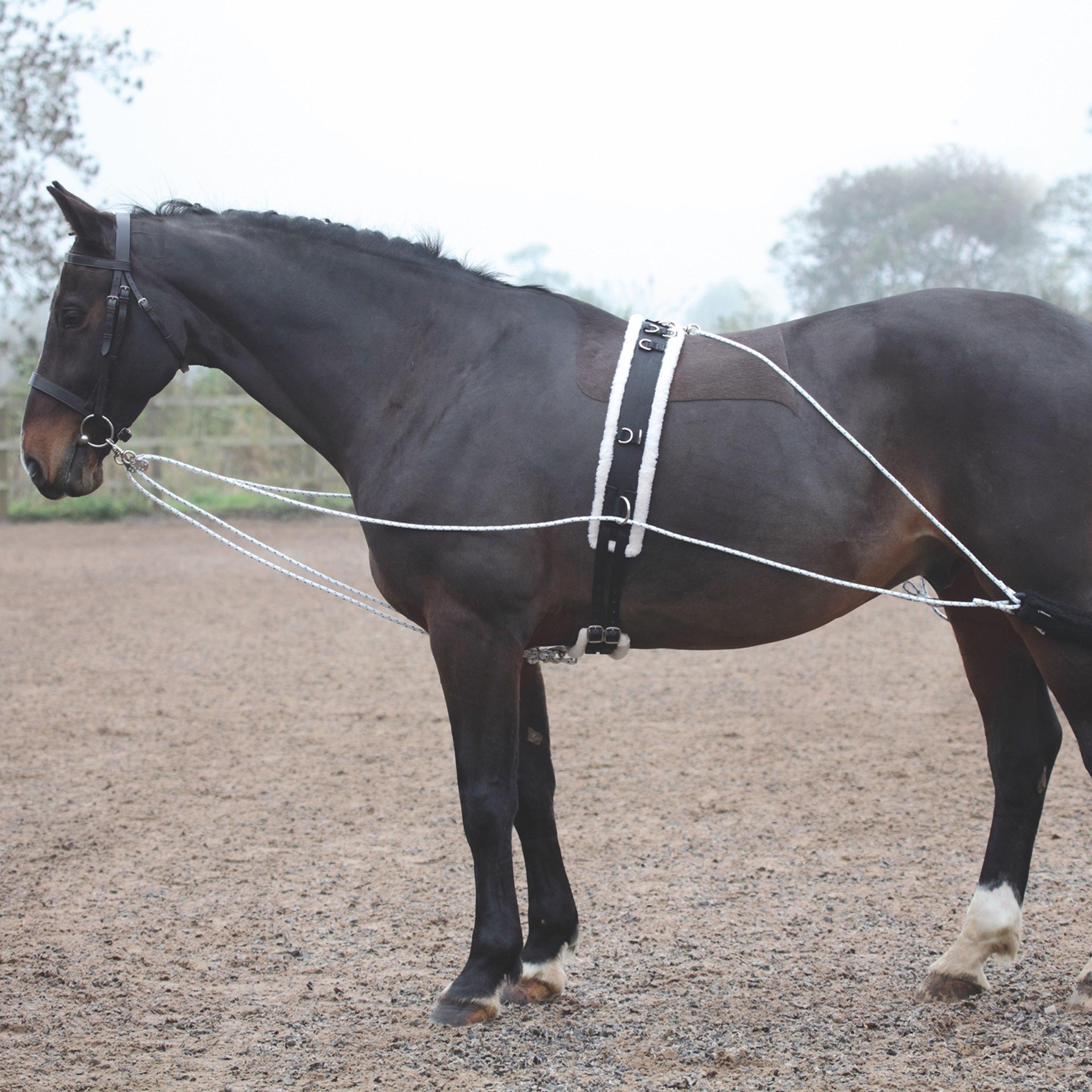 Image of Shires Shires Lunging Training Aid System, Black