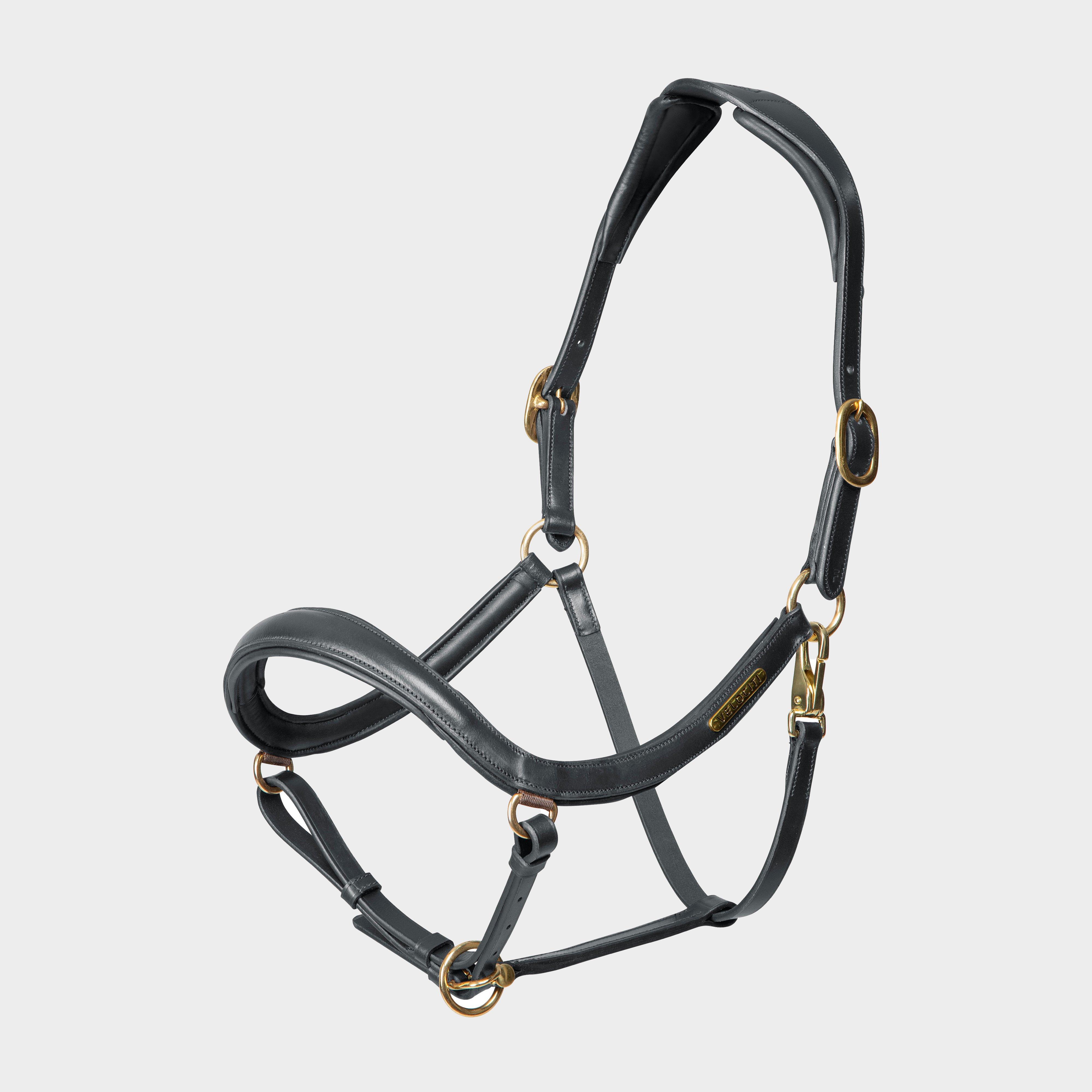 Image of Velociti Rapida Curved Leather Headcollar Black, Black