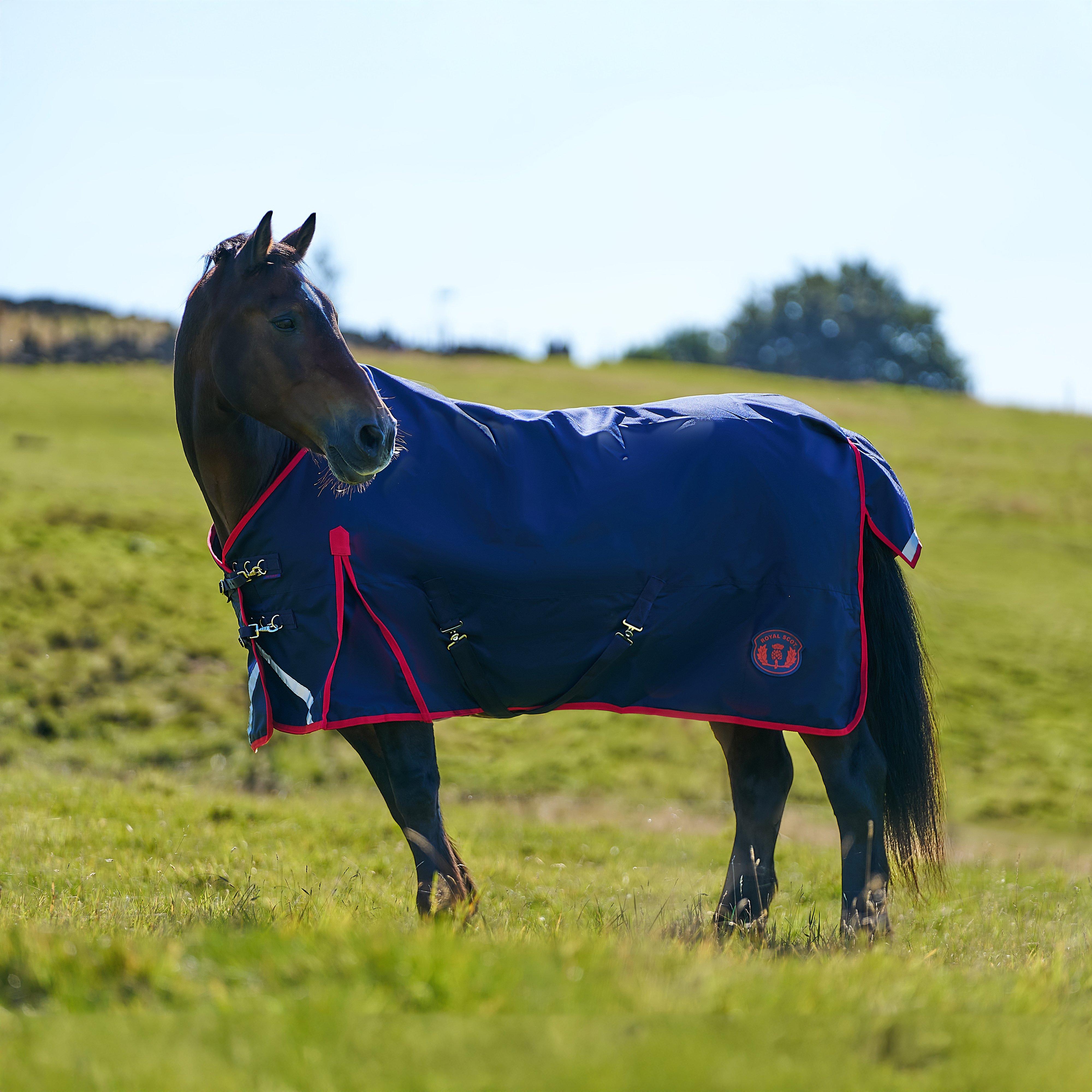 Image of Royal Scot Original 50g Lightweight Standard Neck Turnout Rug Navy/Red