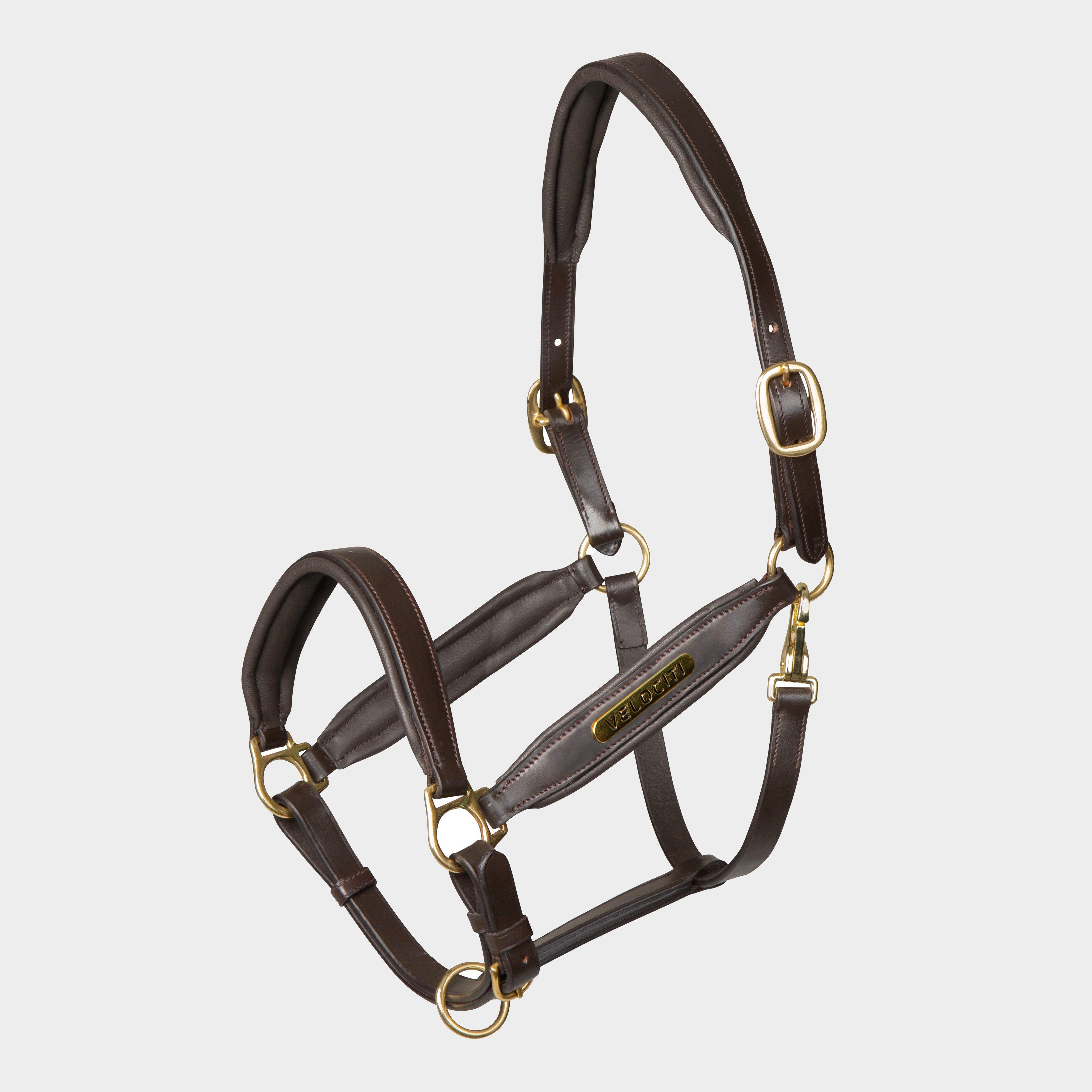 Image of Velociti Gara Leather Headcollar