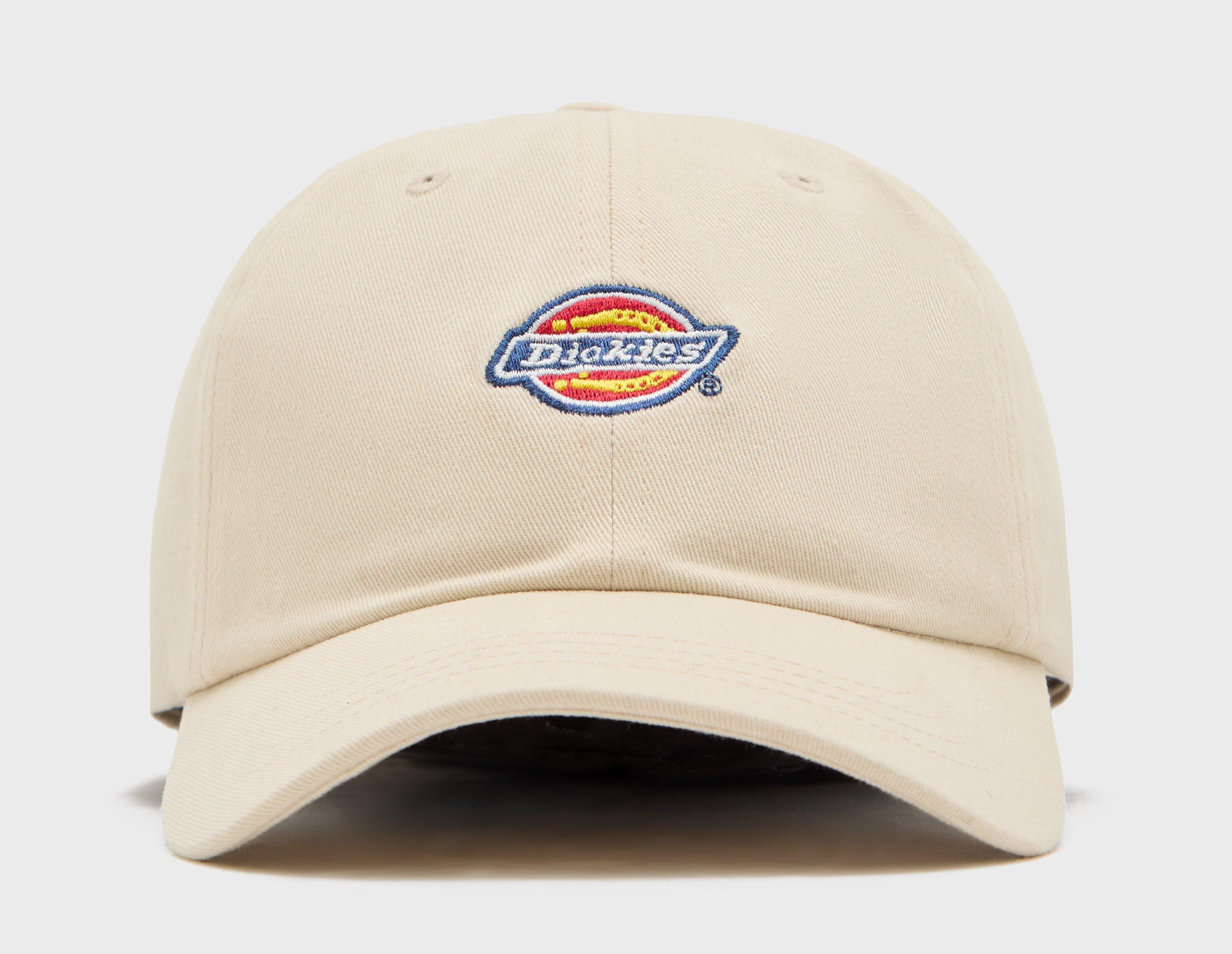 Dickies Hardwick 6 Panel Cap Beige in   Size One Size