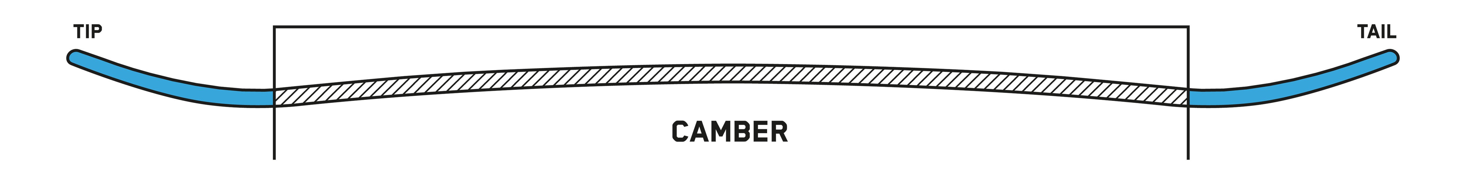 snowboard profile twin camber