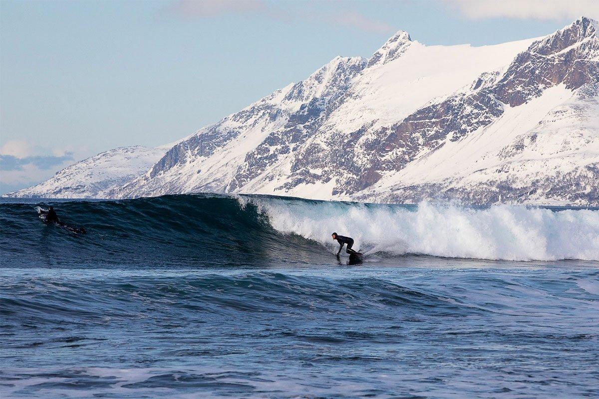 An Interview with Taro Tamai