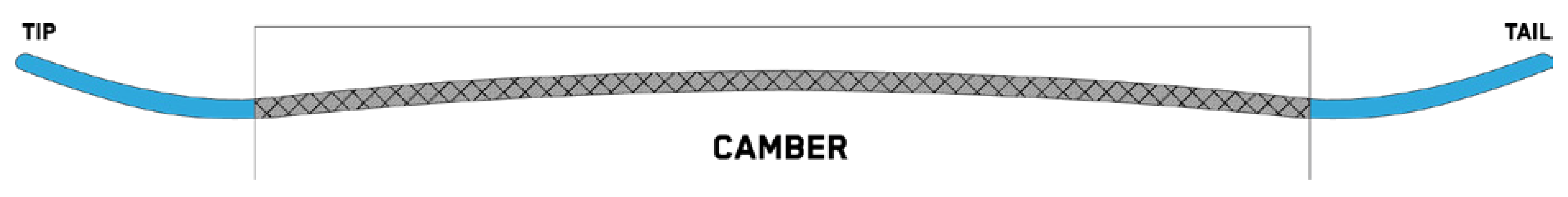 snowboard profile twin camber