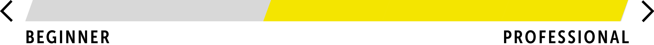 pdp icon ability advanced expert professional