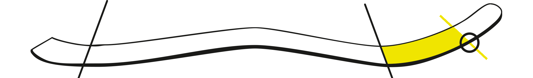 pdp icon ski profile tip rocker