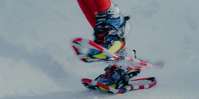 Shop Speed Snowshoes