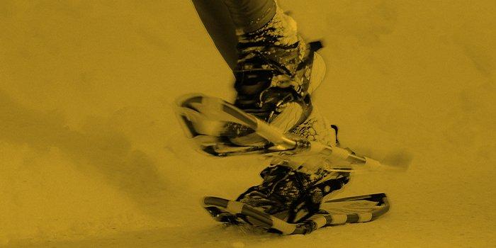 Shop Speed Snowshoes