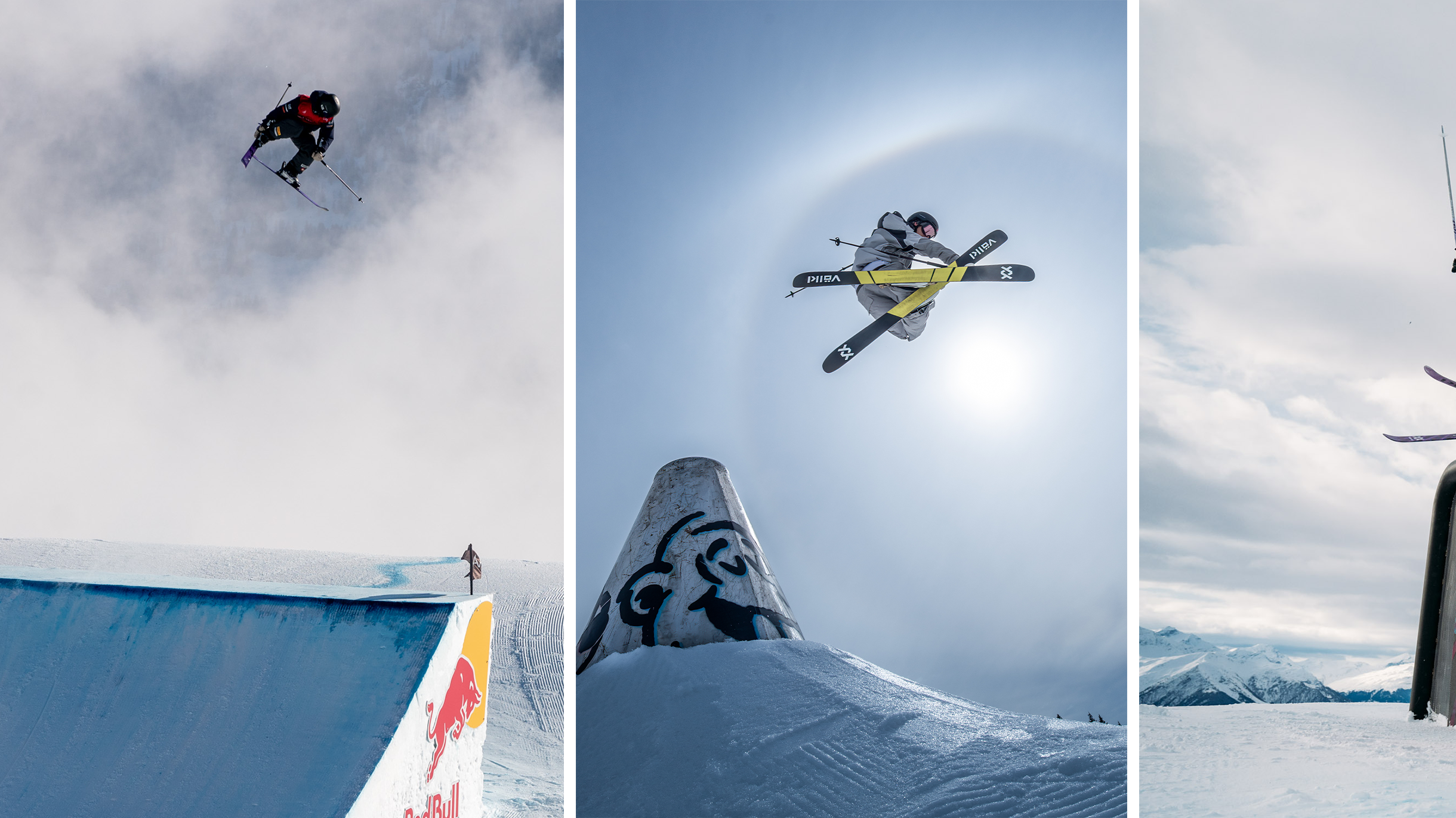 ダルベロ　イルモロプロ 楽天市場】【17日9:59まで☆3000円以上で300円OFFクーポン