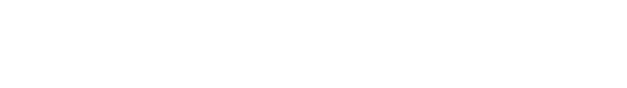 k2-flex-logo_white.png