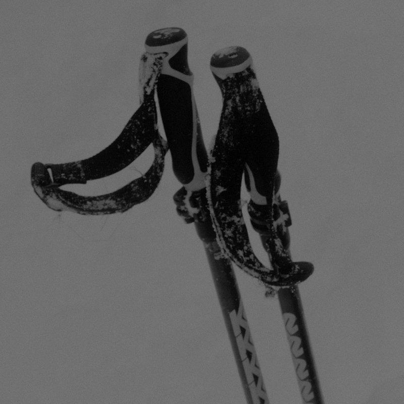 Shop Ski Poles
