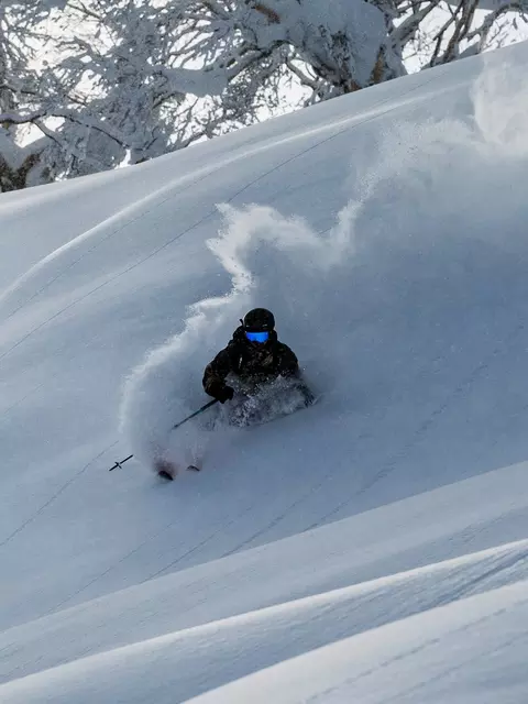 Völkl Katana V-Werks Skis 2026 Völkl Völkl Katana V-Werks Skis 2026 Völkl