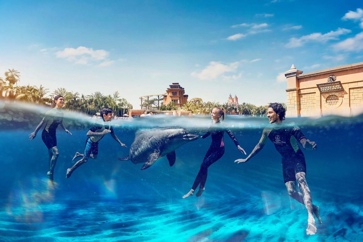 Dolphin Bay