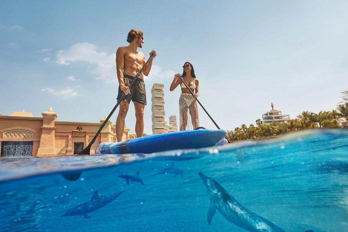 Dolphin Paddle experience