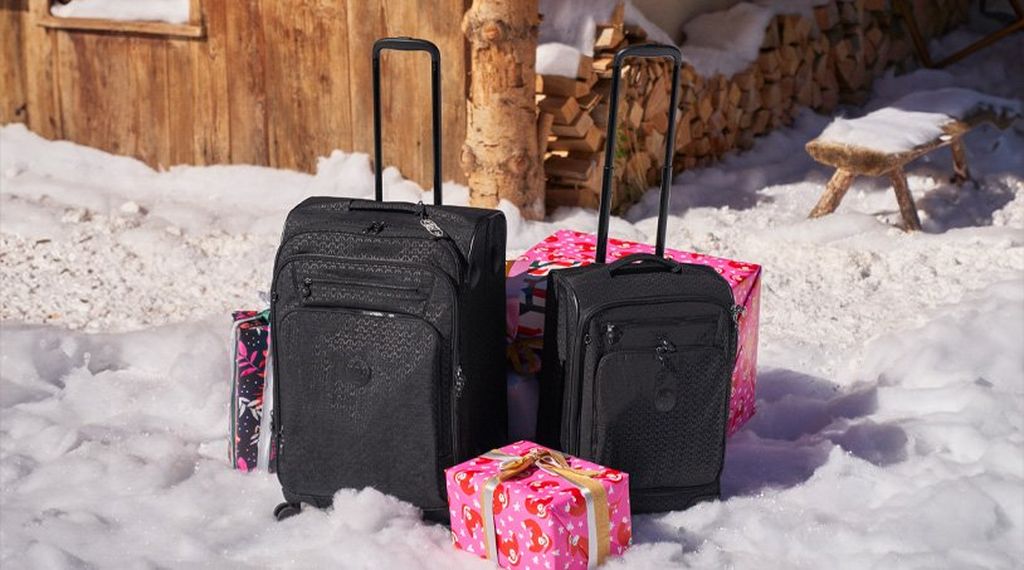 Luggage