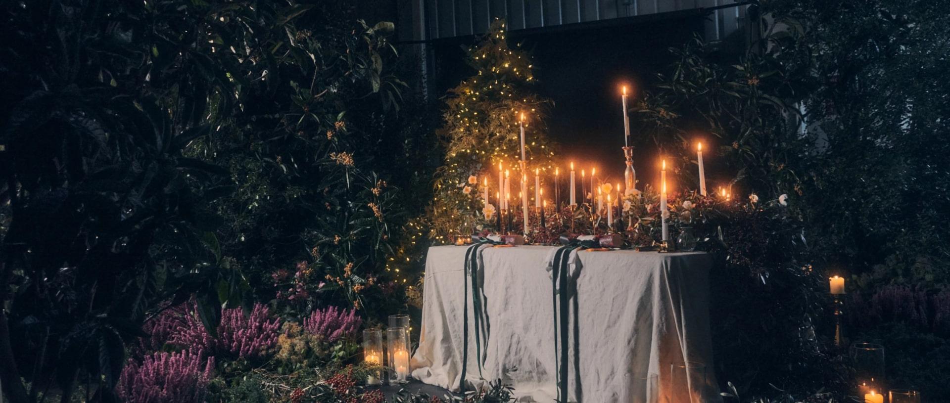 Nikki Tibbles Wild at Heart