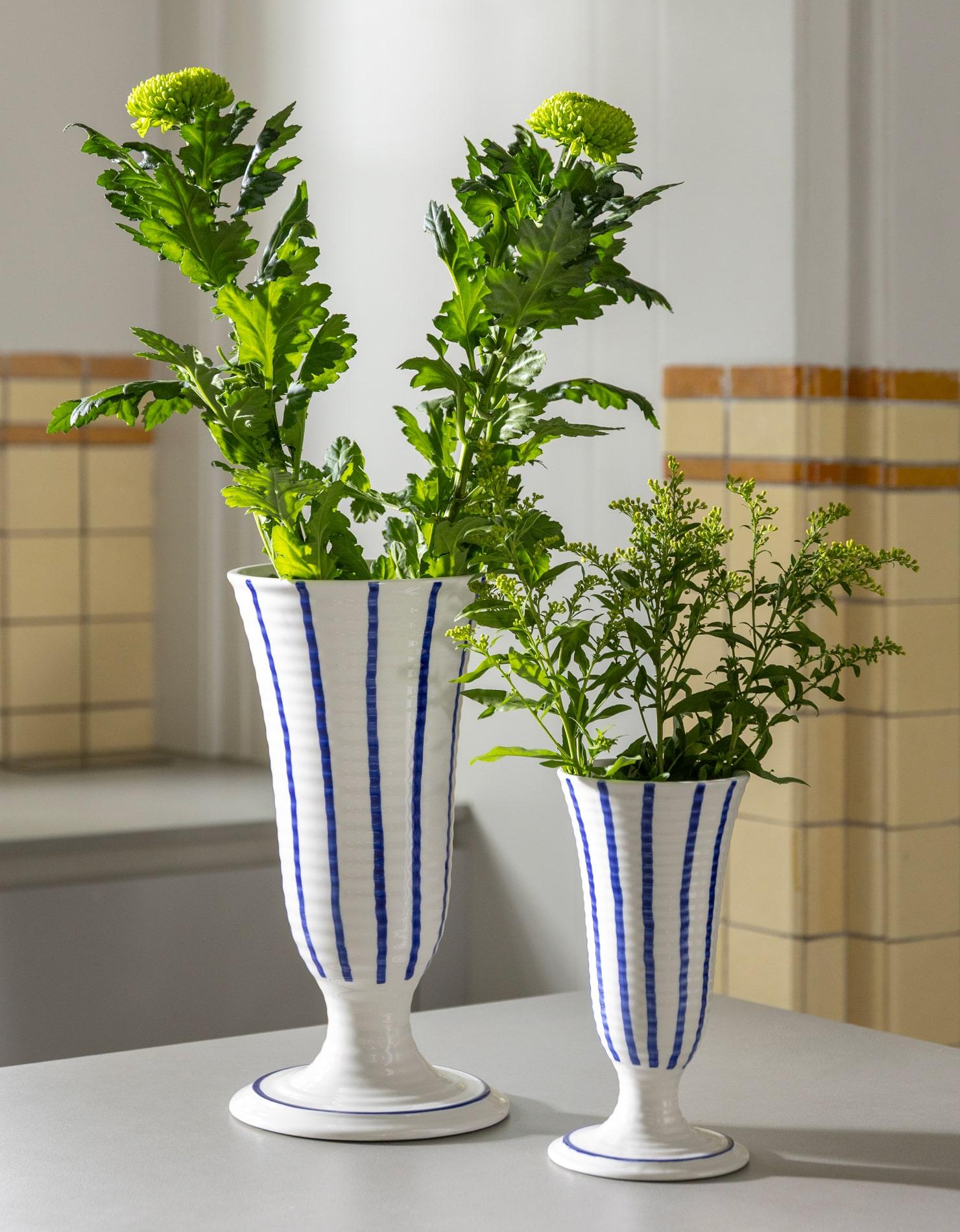 Just Landed at Liberty