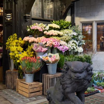 Petals at Liberty