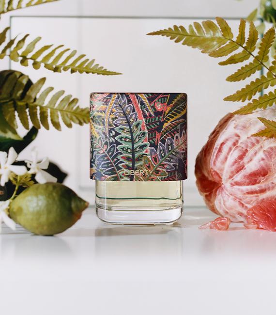 Adelphi Sun, Verdant, Succulent and Botanical