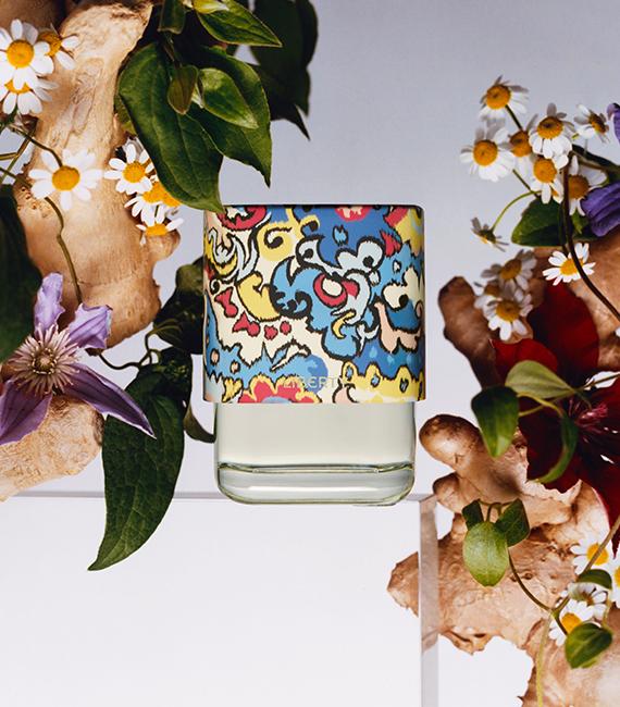 Tudor, Bohemian, Ornamental, Woody