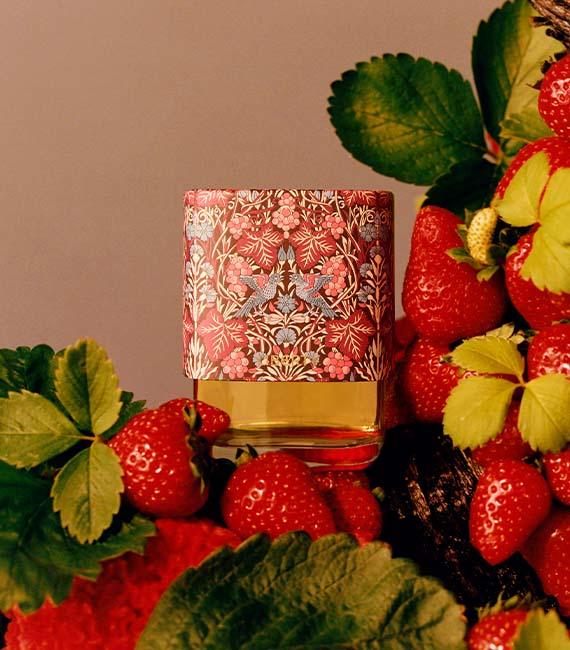 Vine Thief, Lush, Cheeky Orris