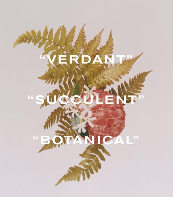 Adelphi Sun, Verdant, Succulent and Botanical