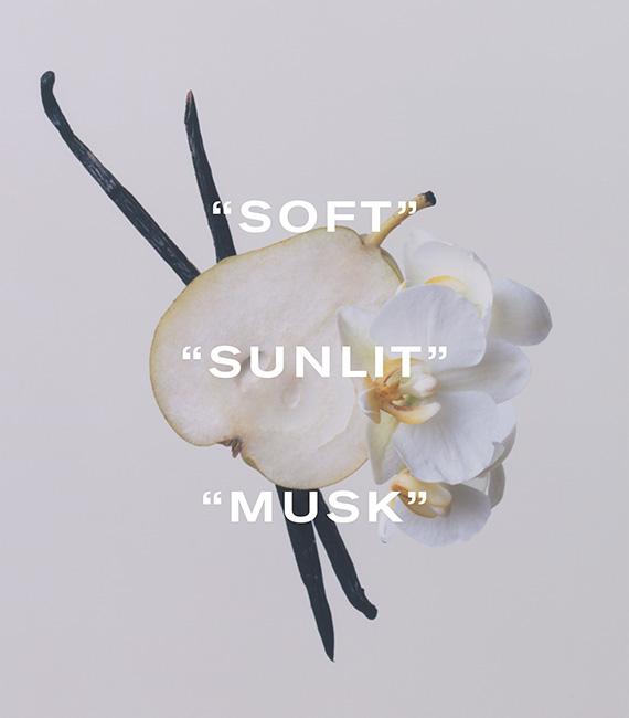 Tana Meadow, Soft, Sunlit, Musk