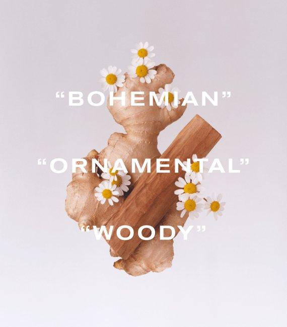 Tudor, Bohemian, Ornamental, Woody