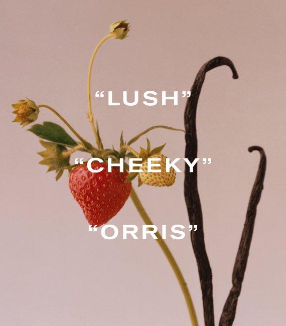 Vine Thief, Lush, Cheeky Orris