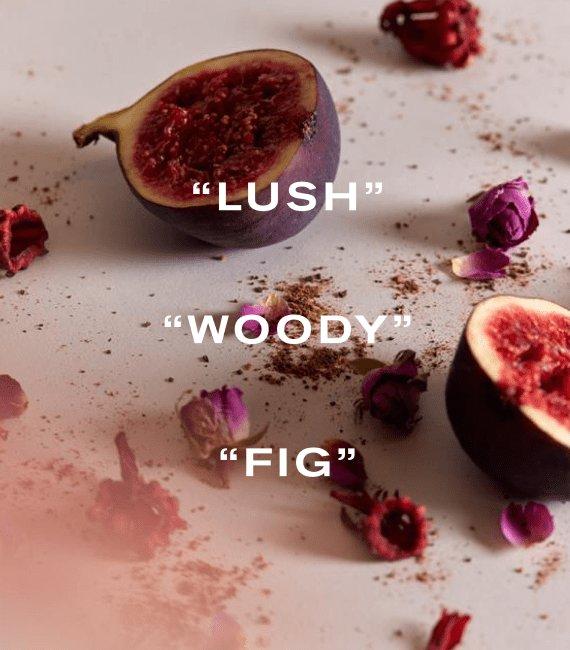 Zephirine, Lush, Woody, Fig