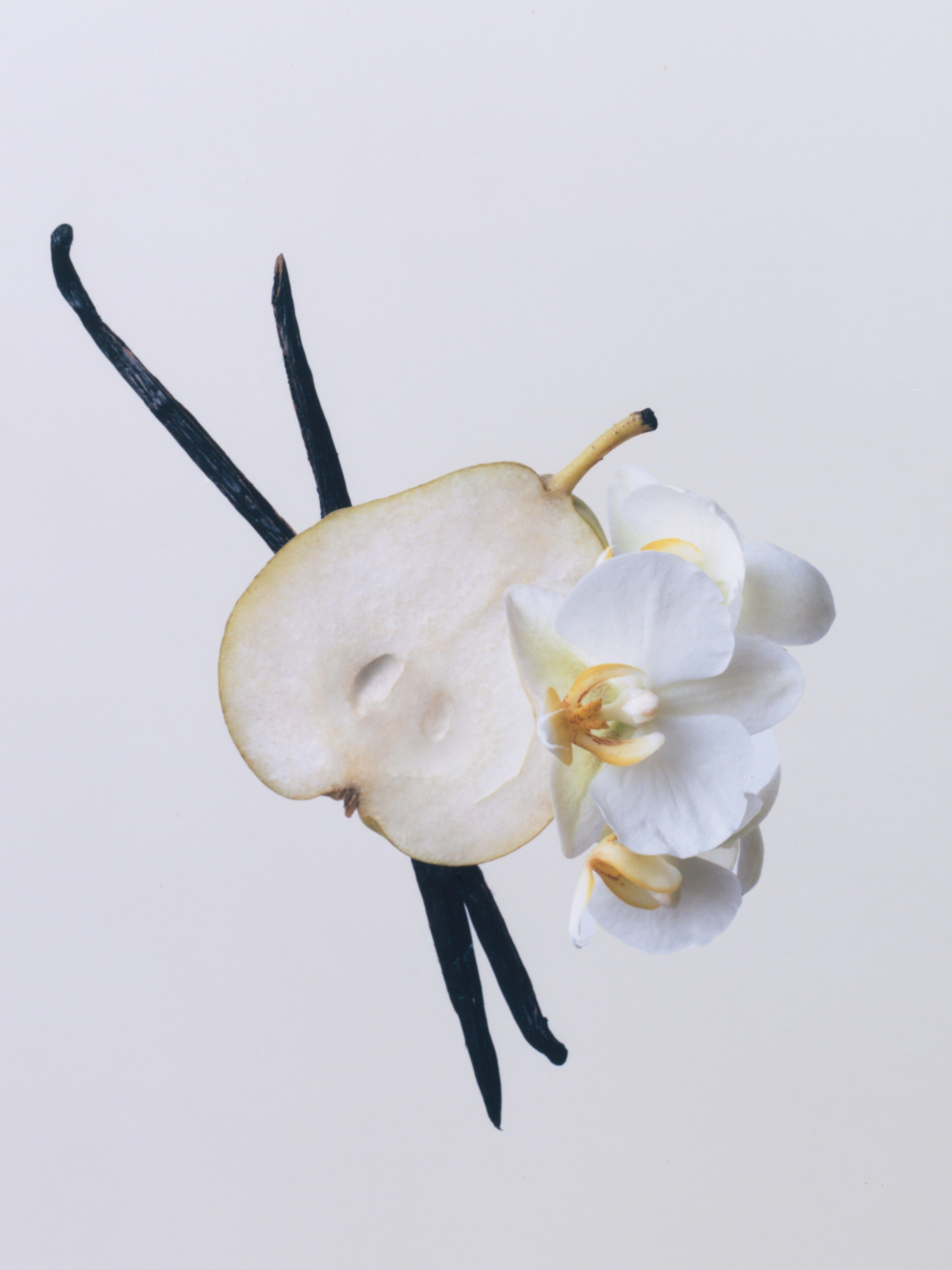 A slice of pear, vanilla pods and orange blossom 
