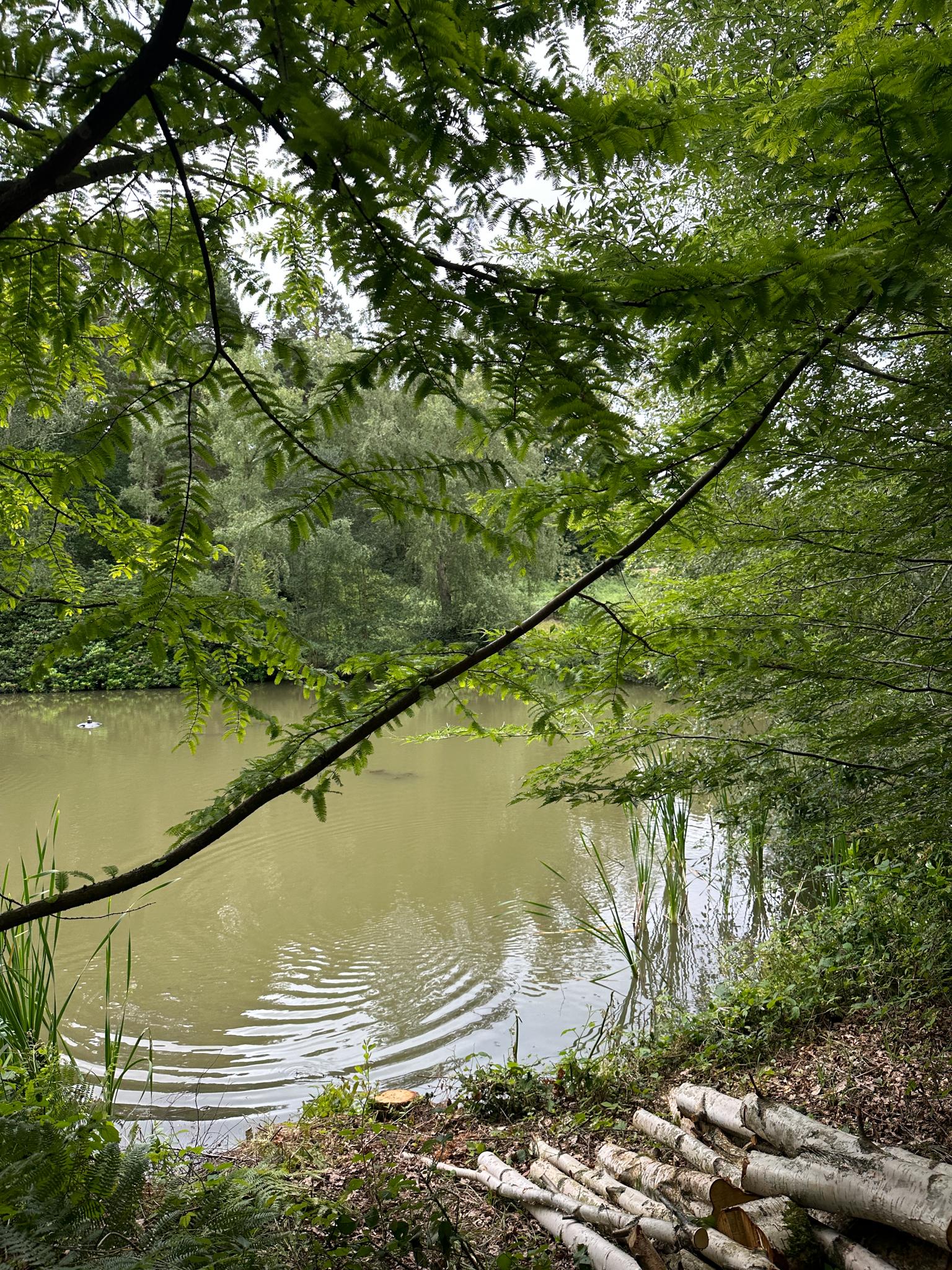 In the Garden with Wildsmith Skin