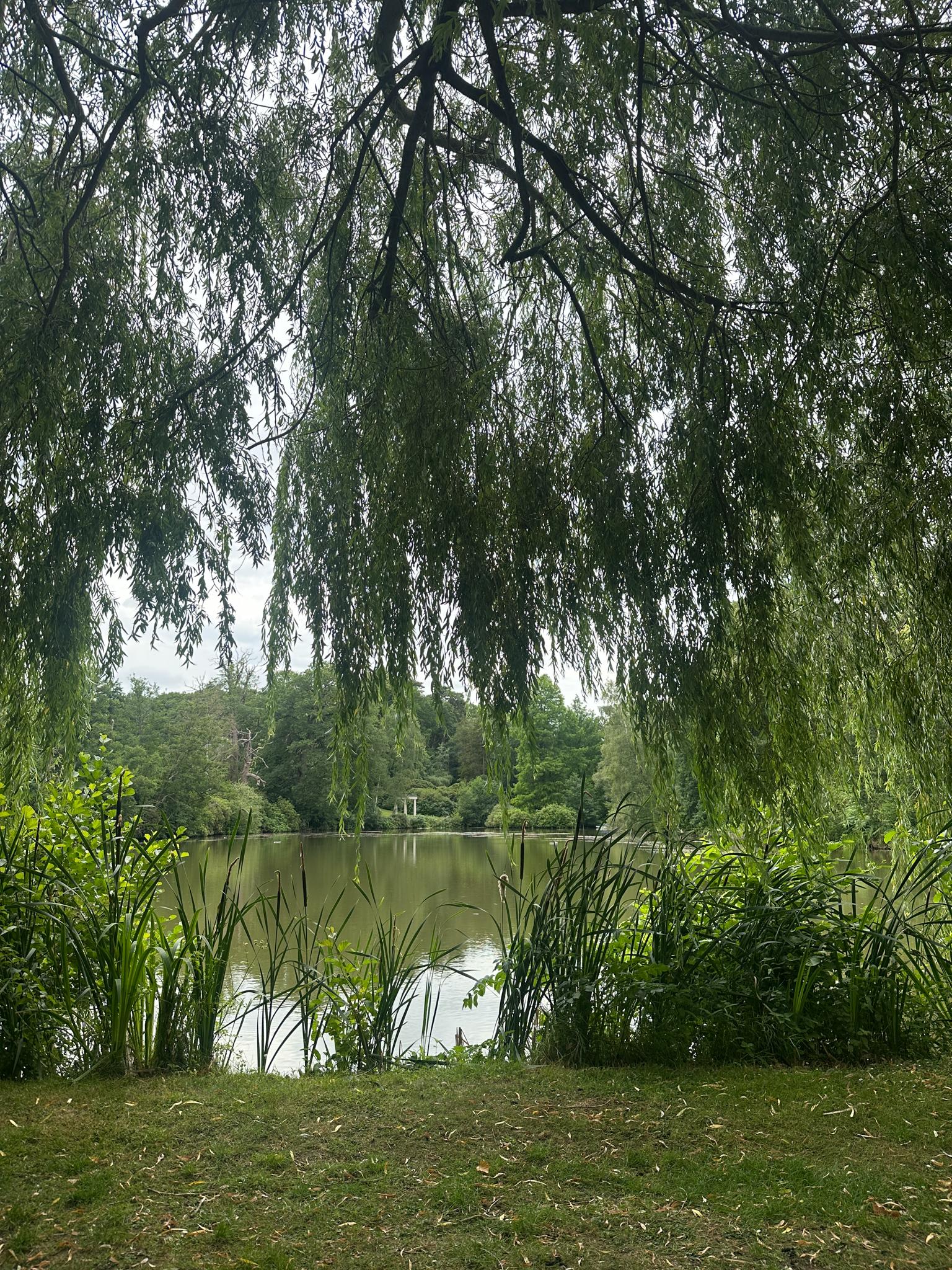 A glimpse into the Heckfield Estate garden, a wooden jetty emerges into a serene lake, surrounded by green bushes and trees