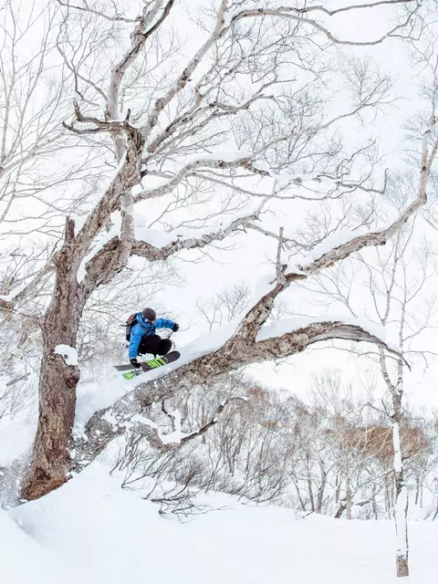 LINE Bacon 108 Skis 2024 | LINE Skis, Ski Poles, & Clothing LINE Bacon 108 Skis 2024 | LINE Skis, Ski Poles, & Clothing