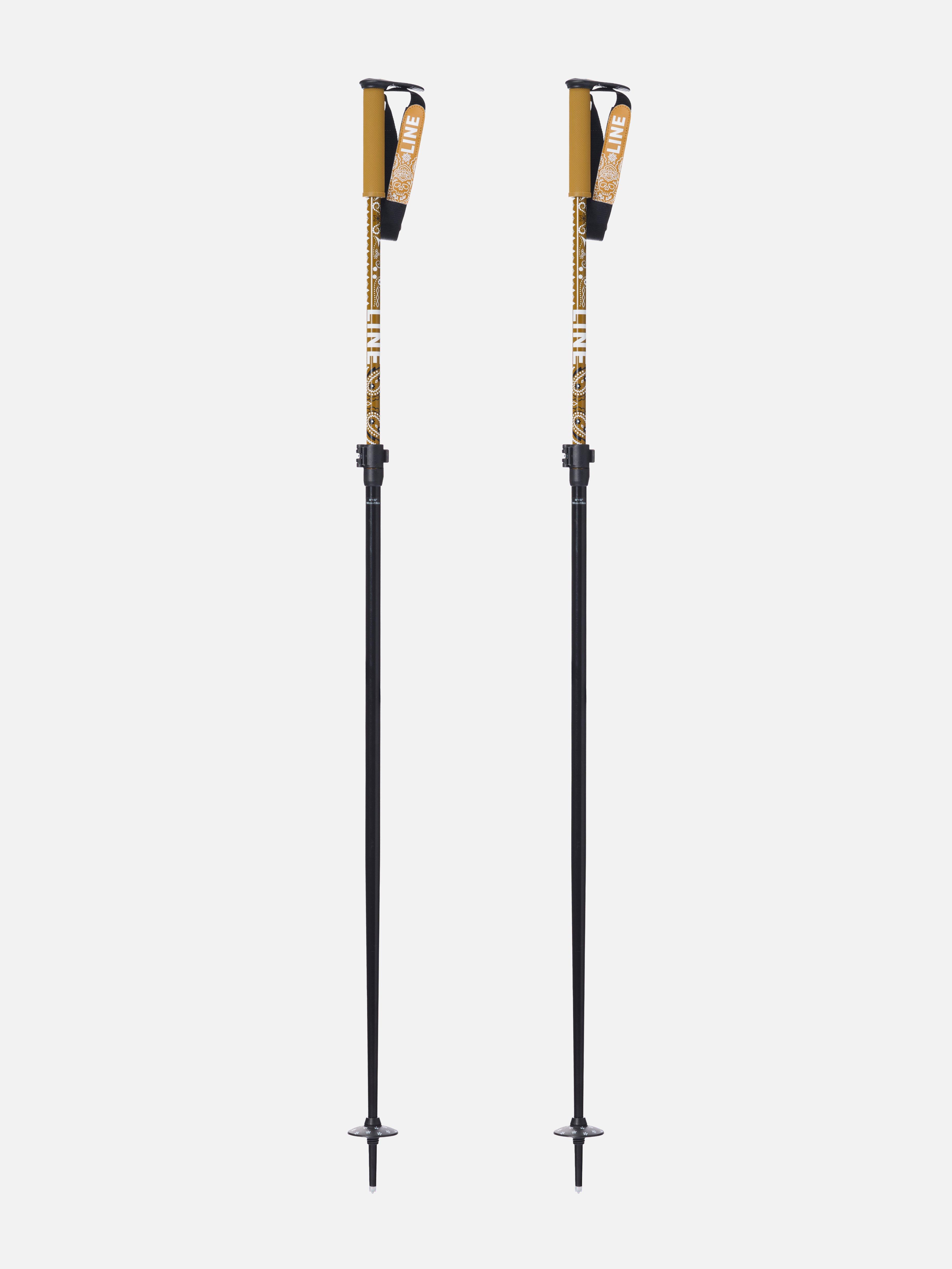 Line Paintbrush Poles