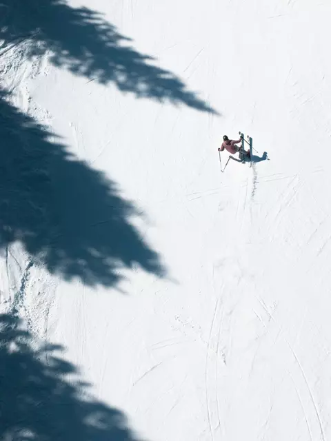 LINE Pandora 94 Skis 2024 | LINE Skis, Ski Poles, & Clothing LINE Pandora 94 Skis 2024 | LINE Skis, Ski Poles, & Clothing