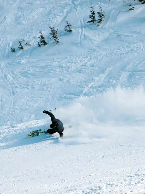 LINE Bacon 108 Skis 2025 | LINE Skis, Ski Poles, & Clothing LINE Bacon 108 Skis 2025 | LINE Skis, Ski Poles, & Clothing