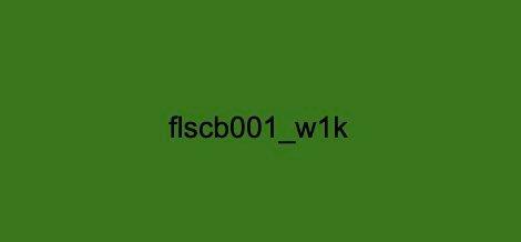 FLSCB001-W1K