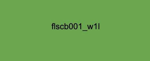 FLSCB001-W1L