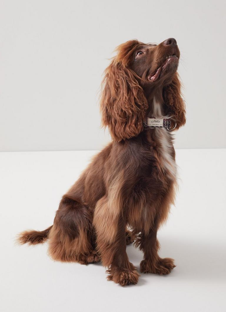 Lk bennett dog dress best sale
