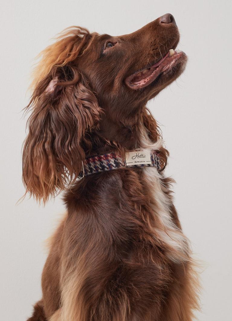 Darcy Houndstooth Check Wool Blend Dog Collar
