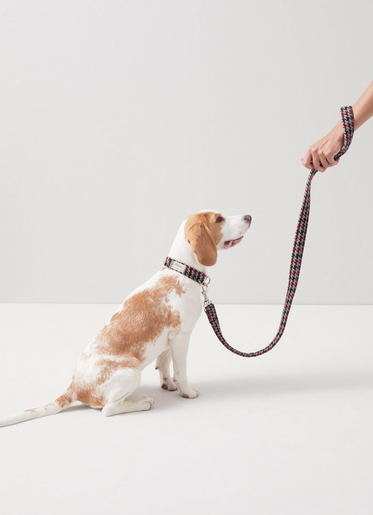 Dog accessories for sale deals