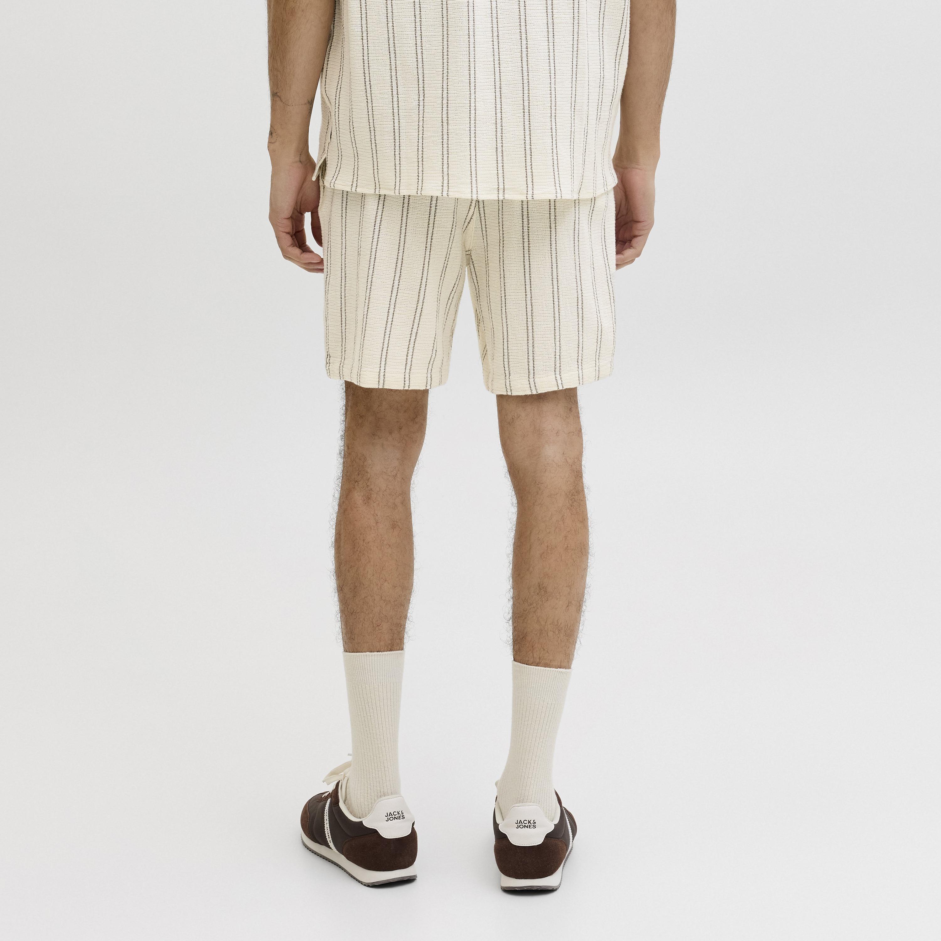 Jack & Jones Striped Mid-Rise Elasticated Drawstring Waist Men's Shorts-men-clothing-bottoms-shorts-image-19