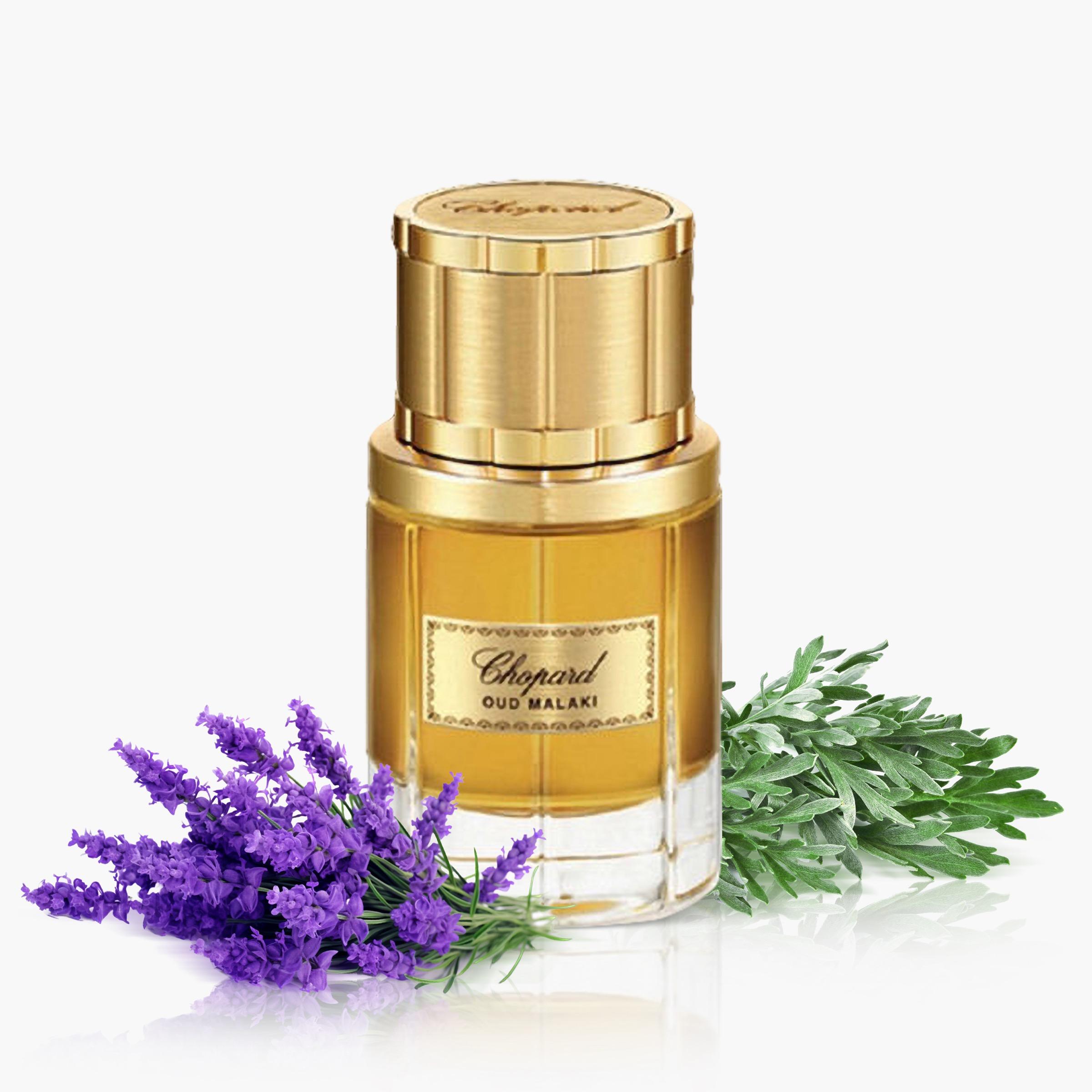 Chopard Oud Malaki Eau De Parfum Natural Spray for Men - 80 ml-beautyandpersonalcare-fragrance-men-image-3