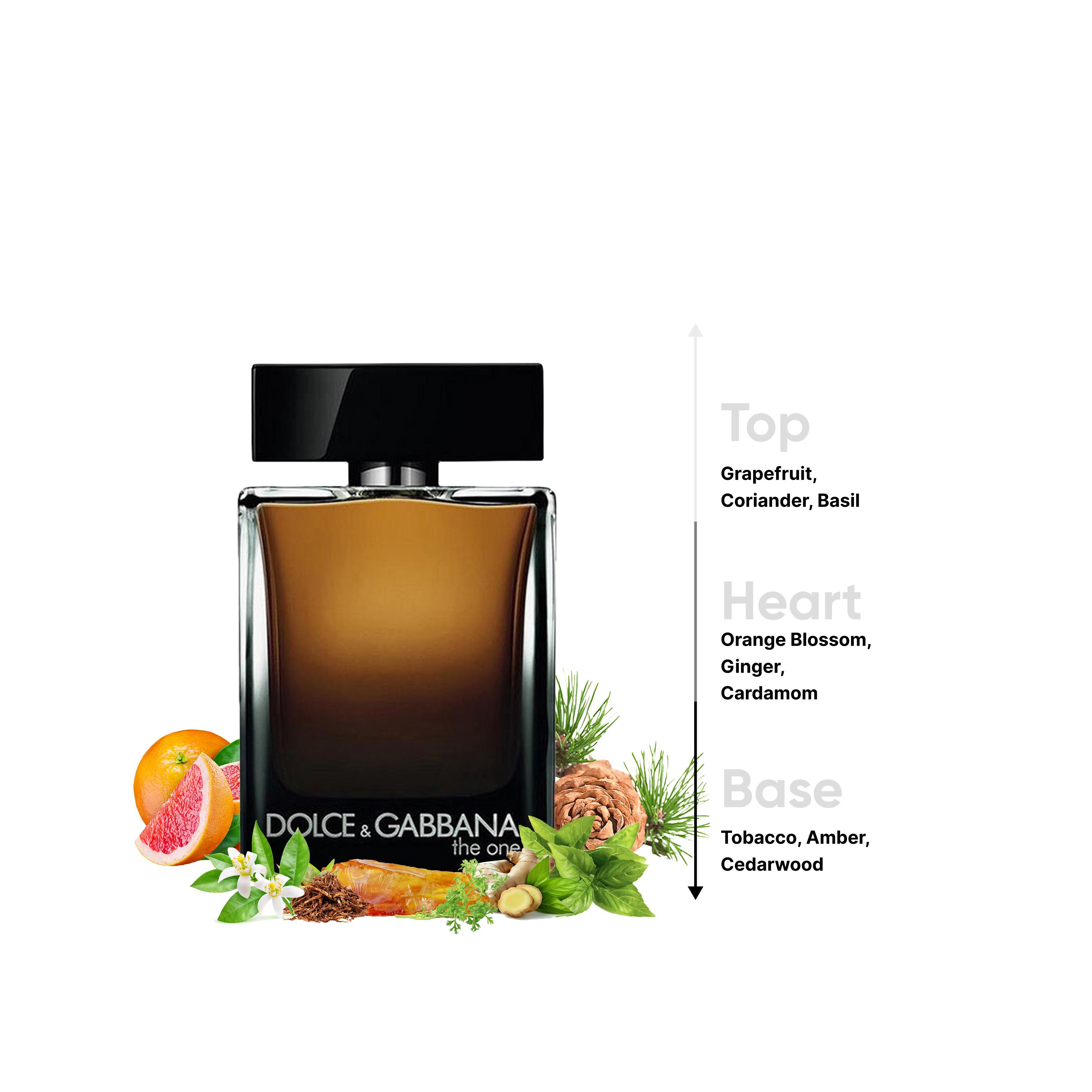 Dolce & Gabbana The One Eau De Parfum Perfume for Men - 100 ml-beautyandpersonalcare-fragrance-men-image-4
