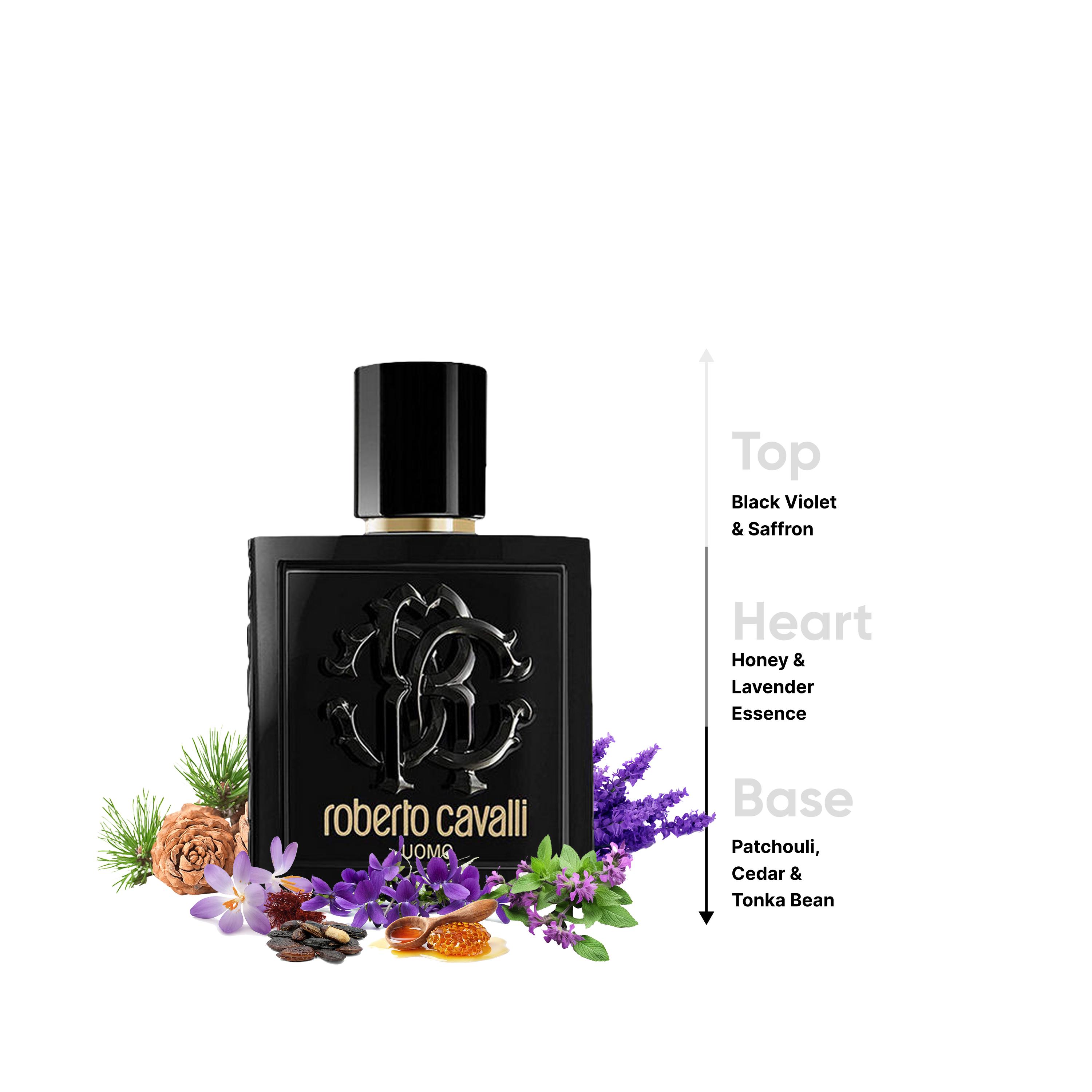 Roberto Cavalli Uomo Natural Spray for Men - 100 ml-beautyandpersonalcare-fragrance-men-image-4
